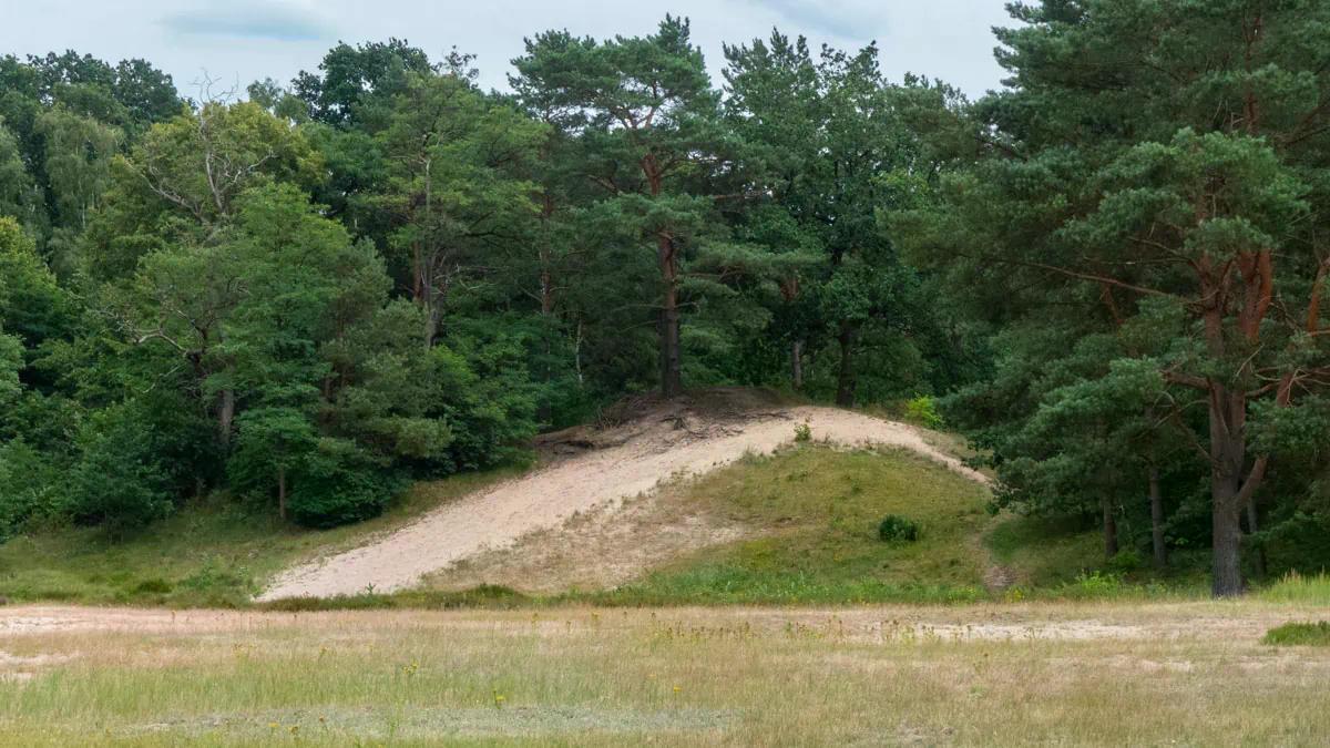 Dünen Hügel