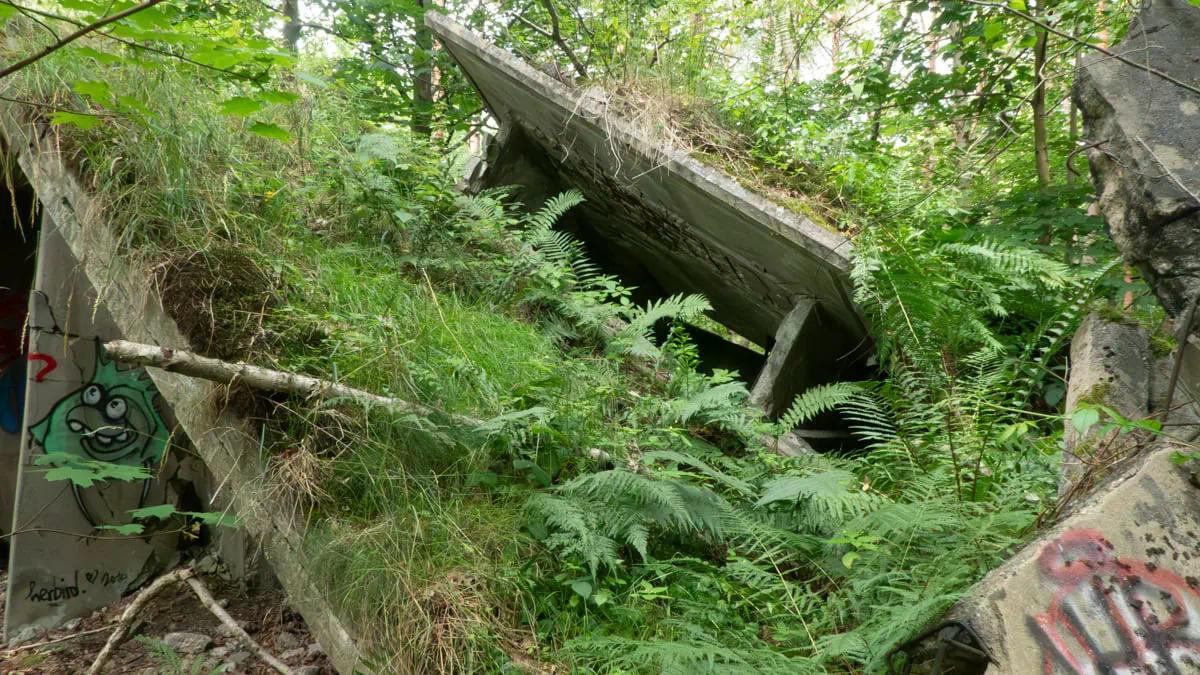 Fahn auf zerfallenden Dach
