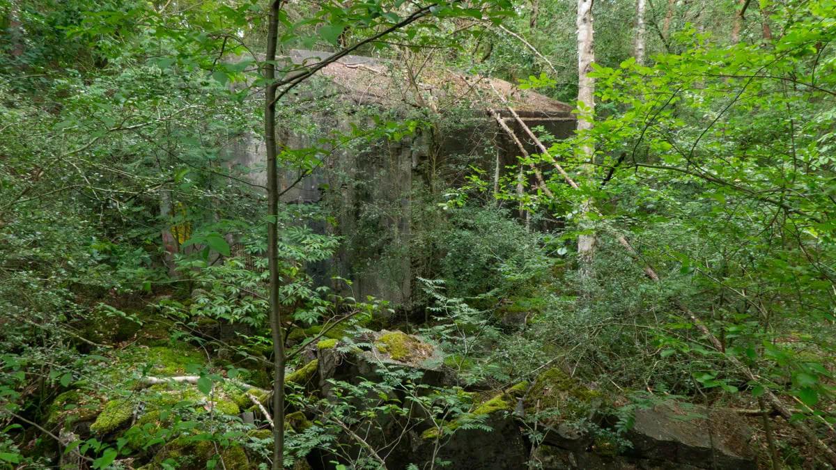 Halle im Wald