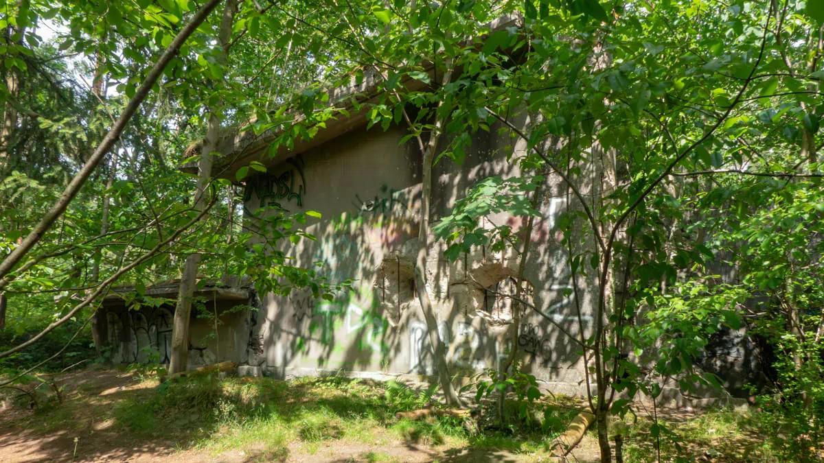 Ruine hinter Bäumen