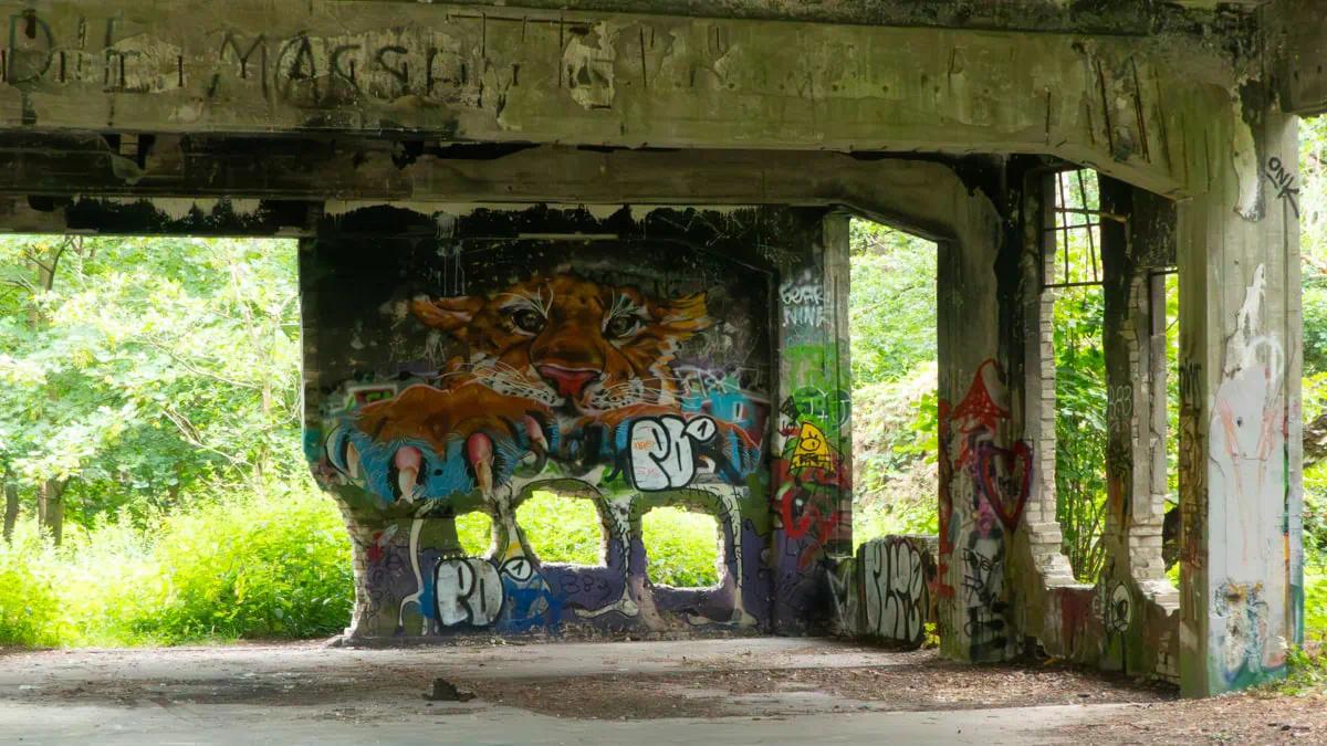 Tiger Graffiti in Bobelwerke Fabrikhalle