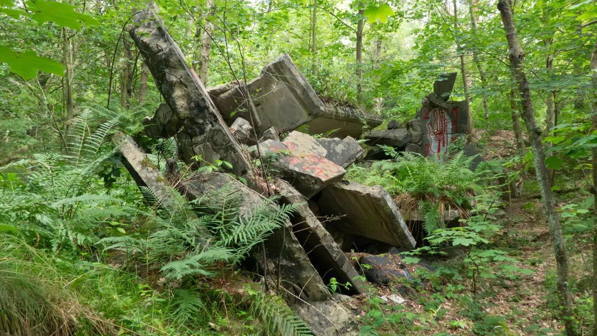 Trümmerhaufen im Wald