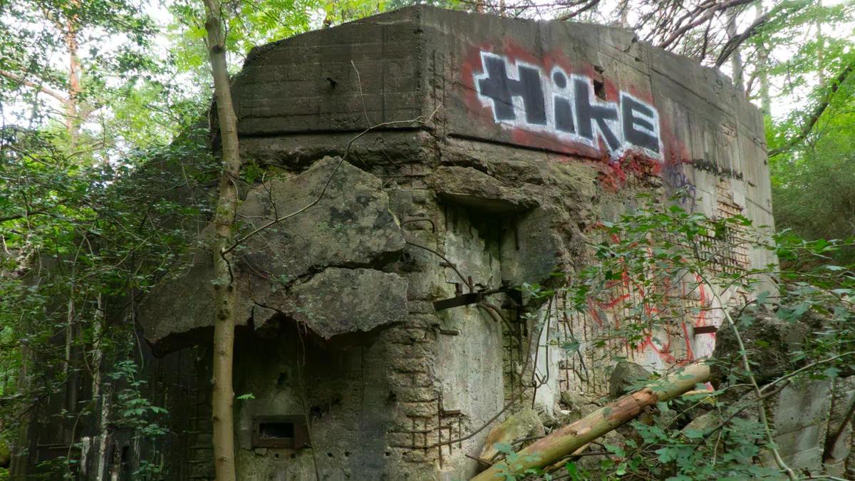 Zerstörte Halle im Wald