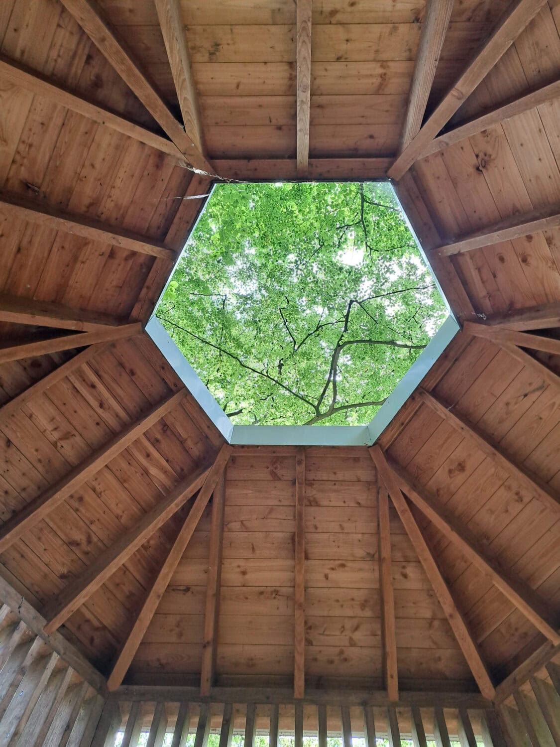 Blick in den Himmel aus dem Mahnmal Steubenweg 36