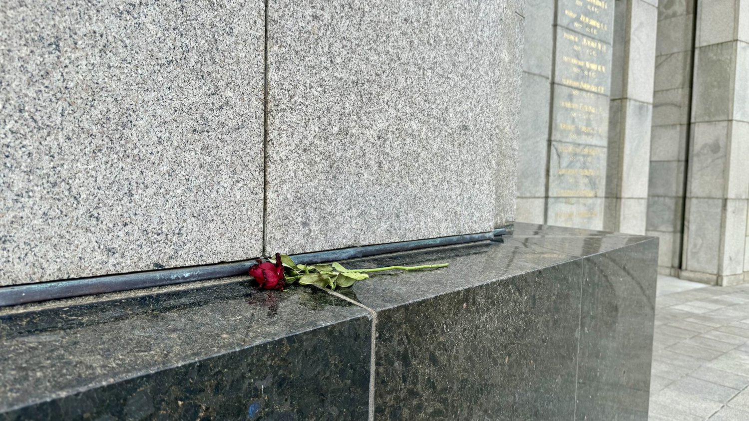 Rose am Sowjetischen Ehrenmal