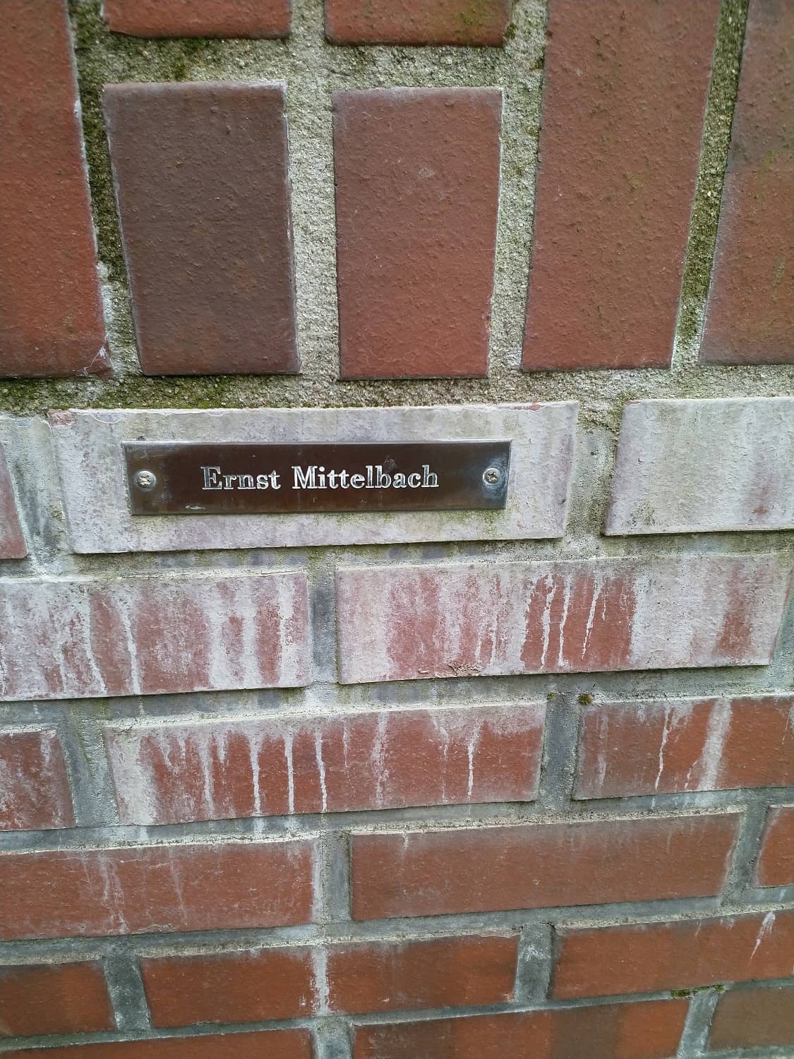 Tisch mit 12 Stühlen - Stuhl für Ernst Mittelbach
