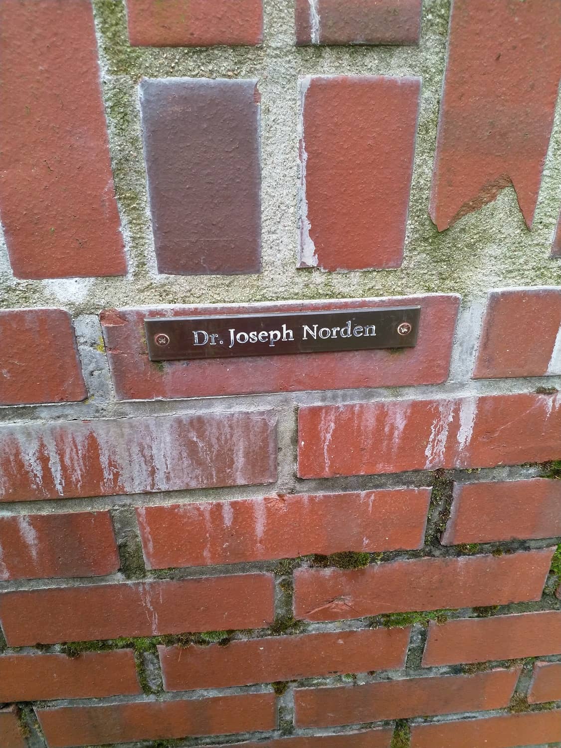 Tisch mit 12 Stühlen - Stuhl für Dr. Joseph Norden