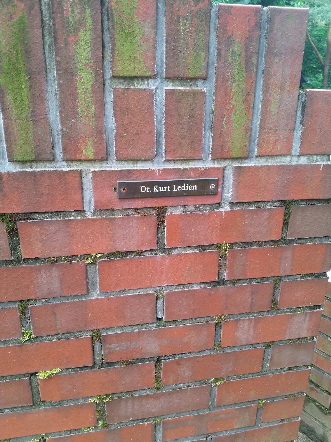Tisch mit 12 Stühlen - Stuhl für Dr. Kurt Ledien